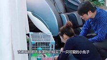 吉娜的裤子有多紧？当她下蹲喂兔兔时，柯基“勾”都挡不住了