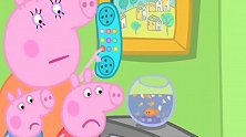 小猪佩奇：佩奇带金金看医生，刚到宠物医院，金金就没事了！