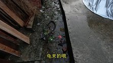 暴雨过后，门口水沟跑来一只“金钱龟”，小妹抓住后，大叫发财了