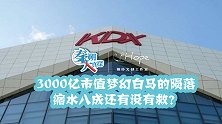 3000亿市值梦幻白马的陨落 缩水八成还有没有救？