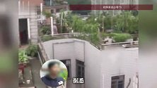 公共楼顶被圈占种菜，涉事住户反怼：哪条法律规定不能种菜