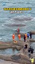 游客海边游玩遇涨潮被困礁石上，消防员连救5人！再次提醒：假期游玩，注意安全！