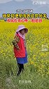 油菜花地里游客姿势优美 农民在旁心疼的一脸愁容