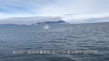 一头座头鲸从海里一跃而上，结果不偏不倚，刚好砸中皮划艇！