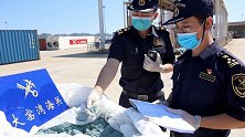 大连海关查获“洋垃圾”21.5吨 系中国禁止进口固体废物