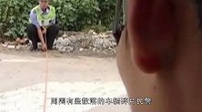 中年妇女“命丧”公路旁，现场遗落的“纸巾”，民警揭开“真凶”