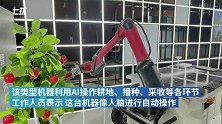 农业仿生机器人亮相：“智慧大脑”等于人类3岁
