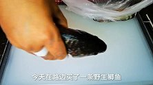 原来刮鱼鳞只需要一个塑料袋，不飞溅不脏手，刮的又快又干净