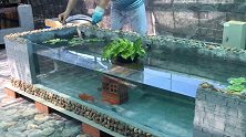 当初用泡沫箱制作的鱼池，现在清理好麻烦，无奈再刷水泥，太难了