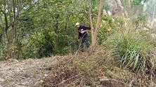 荒无人烟的大山里，发现一个坑，有一张凉席盖住，不敢打开赶快跑