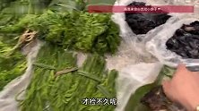 云南妈妈跨城给儿子带菜！小伙：我妈把版纳菜市场都搬来昆明了