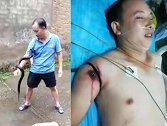 男子把玩眼镜蛇胳膊被咬 紧急送医后仍不治身亡