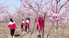童年春游1：大家一起欣赏十里桃花，虎妹特此吟诗一首，真有才