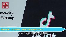局势反转？白宫顾问：微软不适合收购TikTok