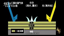 《匠心》感恩的锌