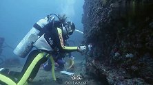 冒险片：海洋学家海底考察，却遇到大鲨鱼，一口人直接没了！