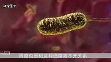 幽门螺杆菌的“天然克星”终于被找到了，每天吃一点，胃病不来找