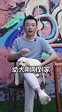 幼犬刚到家什么时候洗澡最合适？铲屎官必看！鹏哥是本养犬教科书 萌宠 狗狗