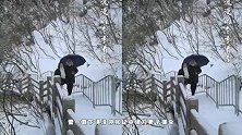 70岁张纪中携娇妻赏雪！为妻子撑伞太有爱，看着儿子摔倒不搀扶