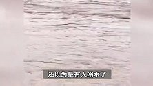 广西桂林暴雨致江水暴涨，游泳爱好者组团挑战激流，路人惊呼不要命