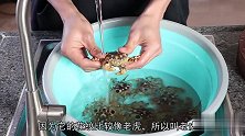野生老虎蟹，小厨简单一做，就成了餐桌上的美
