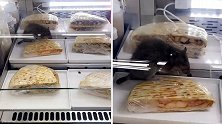 美国：一家食品店里老鼠在三明治上乱窜 网友调侃：那是厨师
