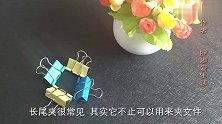 卫生间里放一个长尾夹，解决了家家户户困扰的难题，太实用了