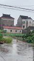 估计狗子又失恋了，在雨中呆了好久！