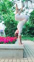 小姐姐公园花坛上的倒立，这样的平衡性一般人真做不到的
