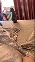 猫：我来看看主人背着我在干啥呢！