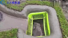 印度小哥用箩筐设陷阱抓鱼，打开框子的那一刻，让人看得都惊呆了