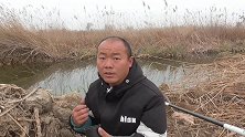 别人钓不到鱼的荒草塘，用自制酒米打窝，大鲫鱼钓过瘾了