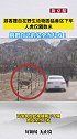 北京一女子擅自在野生动物园猛兽区下车，是血的教训还不够多吗？