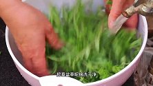 垂盆草全身是宝，教您应季美食做法，口感比绿豆苗还好吃