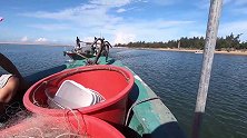 今天把海鳗笼丢在新海域，货越抓越多，倒在盆里“啪啪响”像放炮