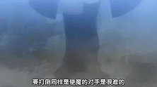 fate：士郎你把事情都想的太简单了，你还得慢慢学习呢