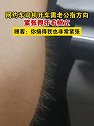 江苏宿迁：网约车司机开车需老公指方向，紧张得汗毛树立