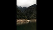 萌狮大赏 高压锅煮了一锅鱼饵，开始打窝了！