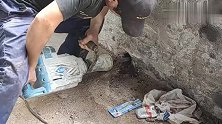 大叔用大功率工具开洞，这样操作，还是第一次见！