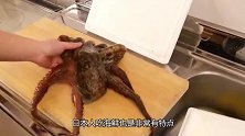比砧板还大的章鱼，日本人一刀为二，没了头的章鱼，拔都拔不下来