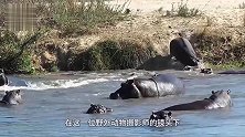 女摄影师发现河里有“异样”，镜头拉近看清后，立马丢掉相机就跑