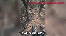 4辆无牌越野摩托闯入无锡惠山国家森林公园，在游客登山道“飙车”，景区回应