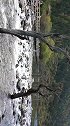 四姑娘山双桥沟风景之二