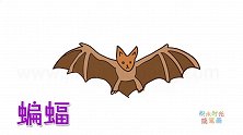 动物简笔画大全，画飞行中的蝙蝠简笔画