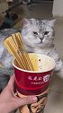 猫：铲屎的你一串都没有给我留呀！