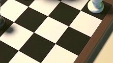 二人比国际象棋，宠物宝宝智商爆表，战胜了主人Bubbles！