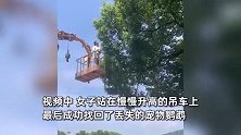 女子3000多元宠物鹦鹉飞走，花400元雇吊车上树找回：下来时腿都软了