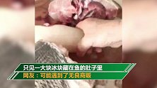 女子买了一条大鱼回家剁成两半 看到里面东西后蒙了