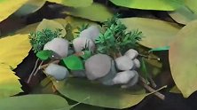 光头强发现盗猎者线索，熊大，熊二去解决盗猎者挖的陷阱