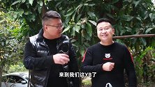 炊二锅到家做客，带来一扇羊排“秘制手把羊排”软烂脱骨，太解馋